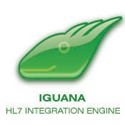 iguana.gif