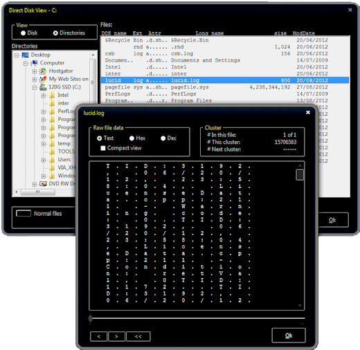 Clean Disk Security v8.02 BEAN