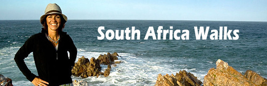 South Africa Walks S01E02 E03 PDTV XviD TM