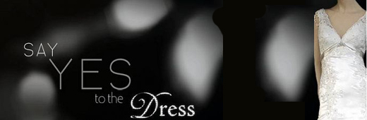 Say Yes To The Dress S10E01E02 WS DSR x264 NY2