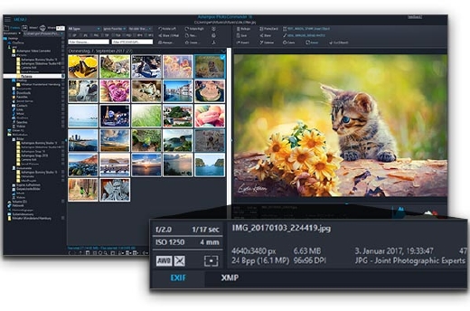 Ashampoo Photo Commander 18.0 (x64) Multilingual 69dlhyops